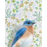 Bluebird Blank Greeting Card by Emily Uchytil