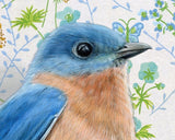 Bluebird Reproduction by Emily Uchytil