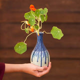 Tall Bud Vase by Blanket Creek Pottery