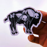 Buffalo Animus Sticker by Cat Rocketship