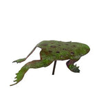 Copper Frog - Enamel by Annabelle Noel Designs