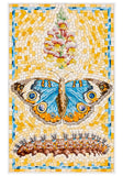 David Cohen: Butterflies Boxed Notecard Assortment