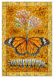 David Cohen: Butterflies Boxed Notecard Assortment