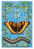 David Cohen: Butterflies Boxed Notecard Assortment