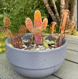 Copper Cactus - Bare by Annabelle Noel Designs