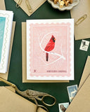 Northern Cardinal Stamp Greeting Card by Bird Mail Studio