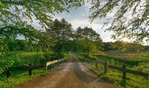 Road To Casper Bluff Photo Print by Hallie Bear