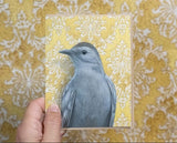 Catbird Blank Greeting Card by Emily Uchytil