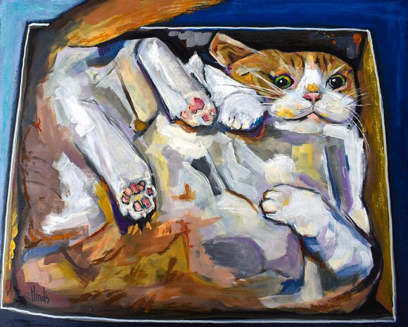 Cat in a Box Blank Greeting Card by David Hinds