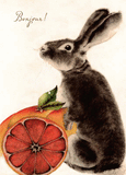 8 Assorted Boxed Rabbit Notecards by Artists to Watch