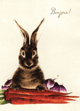 8 Assorted Boxed Rabbit Notecards by Artists to Watch