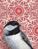 Chickadee Blank Greeting Card by Emily Uchytil