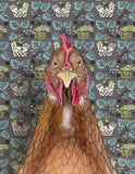 Chicken Blank Greeting Card by Emily Uchytil