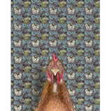 Chicken Reproduction by Emily Uchytil