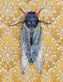 17-year Cicada Blank Greeting Card by Emily Uchytil
