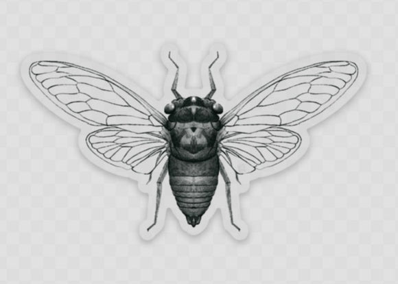 Cicada Sticker by Cat Rocketship