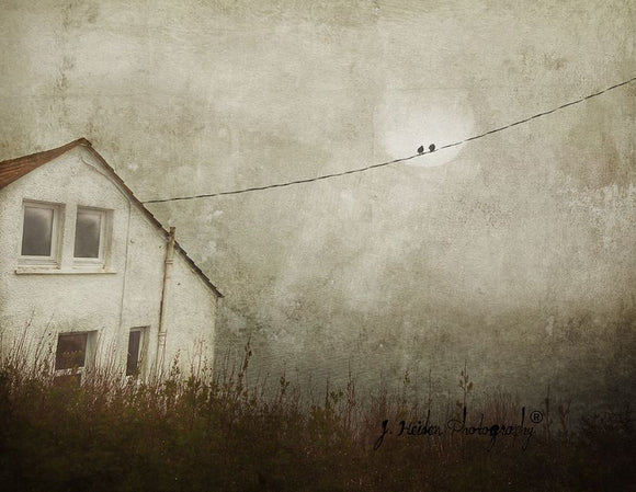 Come Back In Two Days by Jamie Heiden
