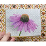 Coneflower Blank Greeting Card by Emily Uchytil
