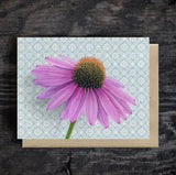 Coneflower Blank Greeting Card by Emily Uchytil