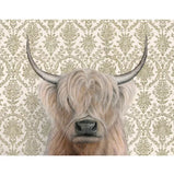 Highland Cow Blank Greeting Card by Emily Uchytil