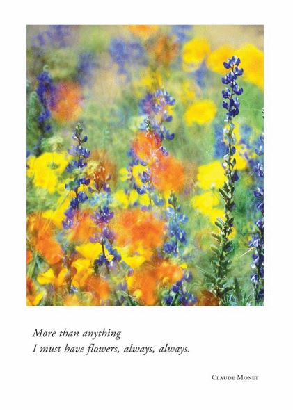 Desert Flowers Birthday Card from Artists to Watch