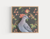 Mourning Dove Reproduction by Emily Uchytil