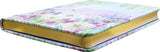Dragonflies and Dandelions Journal