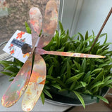 Extra-Large Copper Dragonfly - Bare by Annabelle Noel Designs