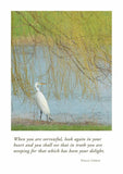 Egret and Willows Sympathy Card from Artists to Watch