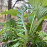 Copper Fiddlehead Fern - Enamel by Annabelle Noel Designs