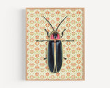 Firefly Reproduction by Emily Uchytil