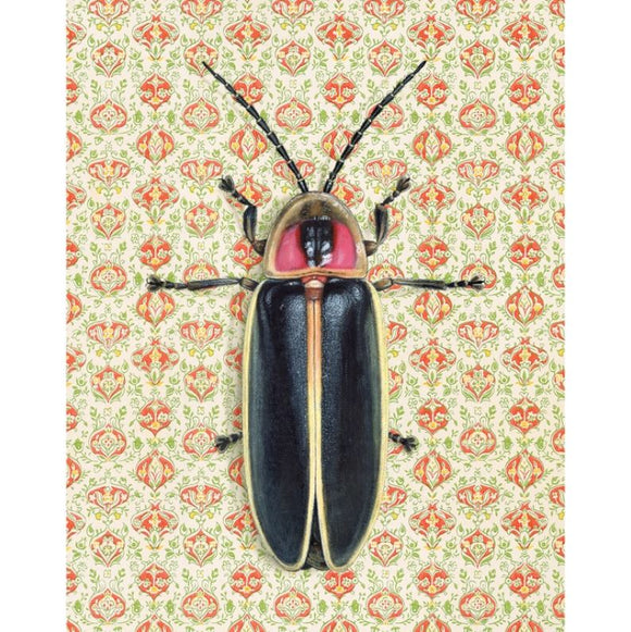 Firefly Reproduction by Emily Uchytil