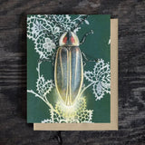 Firefly Blank Greeting Card by Emily Uchytil