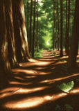 Forest Path Sympathy Card from Artists to Watch