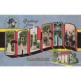 Greetings From Galena Magnet by Found Image Press