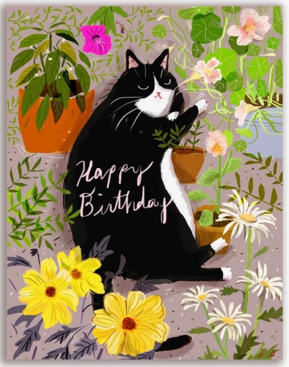 Birthday Garden Baby Cat Greeting Card by Jamie Shelman