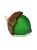 Natural Collection: Frosted Glass Acorns by Grateful Gathers Glass