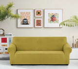 Ladybug Reproduction by Emily Uchytil