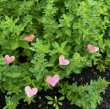 Small Copper Heart- Bare by Annabelle Noel Designs