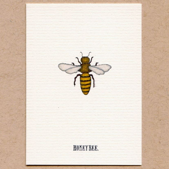 Honeybee Enclosure Card by Beth Mueller