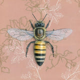 Honeybee (Pink) Reproduction by Emily Uchytil