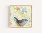 House Wren Reproduction by Emily Uchytil