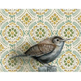House Wren Blank Greeting Card by Emily Uchytil