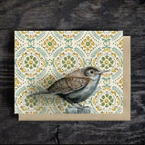 House Wren Blank Greeting Card by Emily Uchytil