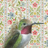 Ruby-Throated Hummingbird Reproduction by Emily Uchytil