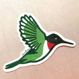 Hummingbird Sticker by Nan Onkka