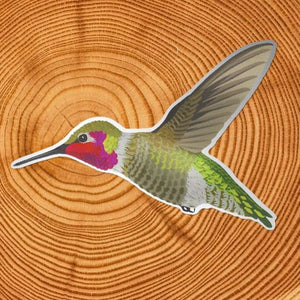 Hummingbird Sticker by Little Gold Fox Designs