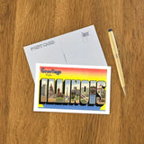 Greetings From Illinois Postcard by Found Image Press