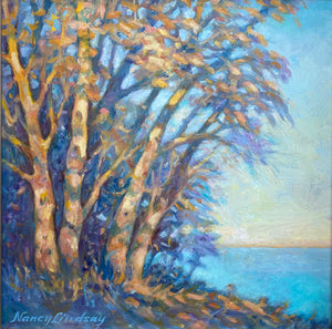 Aqua Light by Nancy Lindsay