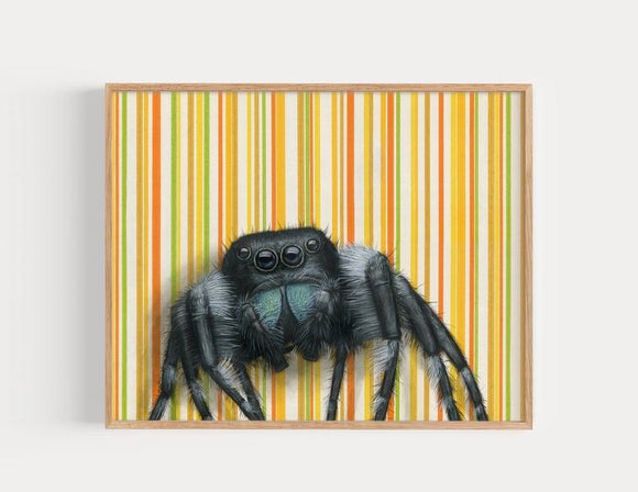 Jumping Spider Reproduction by Emily Uchytil